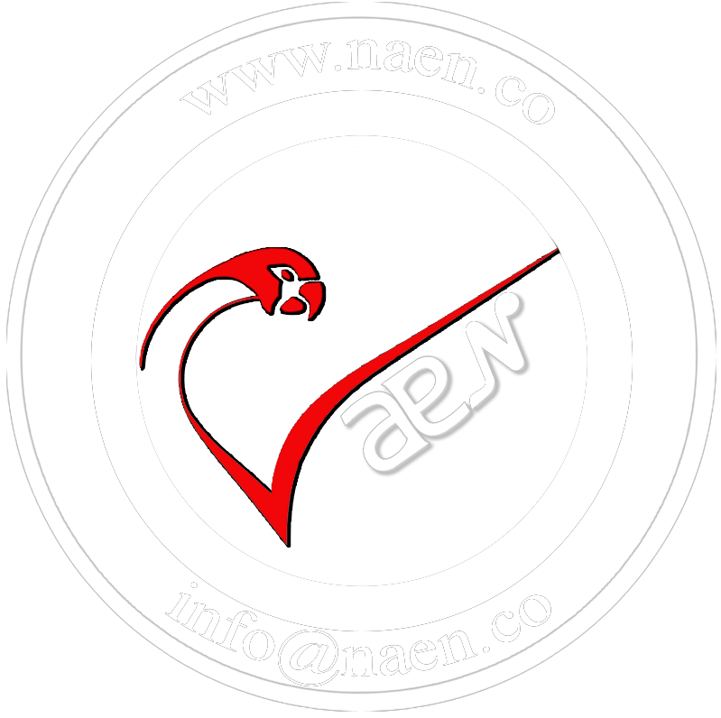 NaeN Logo