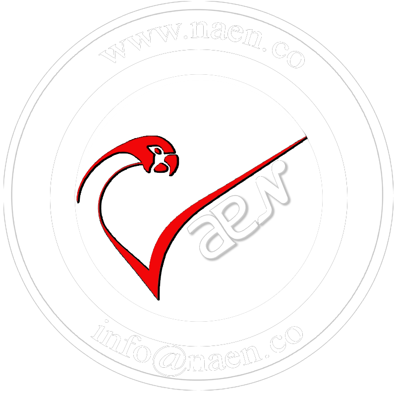 NaeNLogoBig face